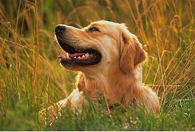 《战神4》PC版1.0.9版补丁上线 提升性能表现