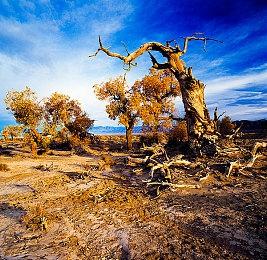 Embracer集团：裁员代价惨重，但这是一个必要的过程