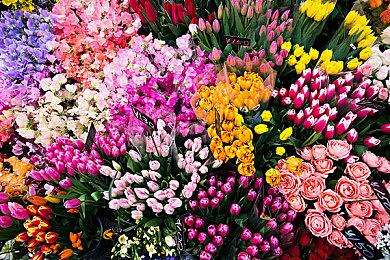 生活模拟MMO《Palia》开发商裁员 三分之一员工被裁